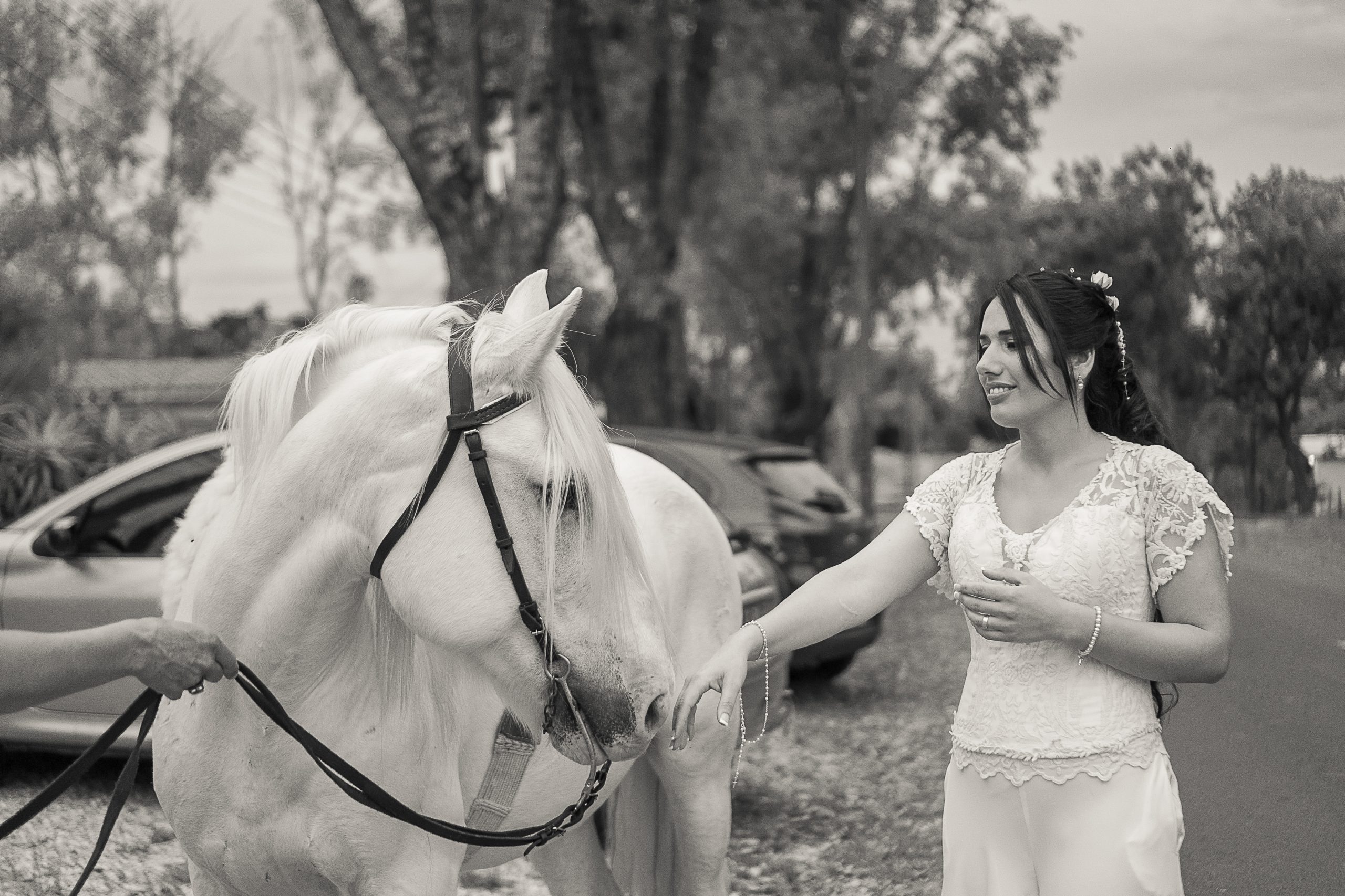 Ceremonia Civil 016 scaled - Como trabajamos